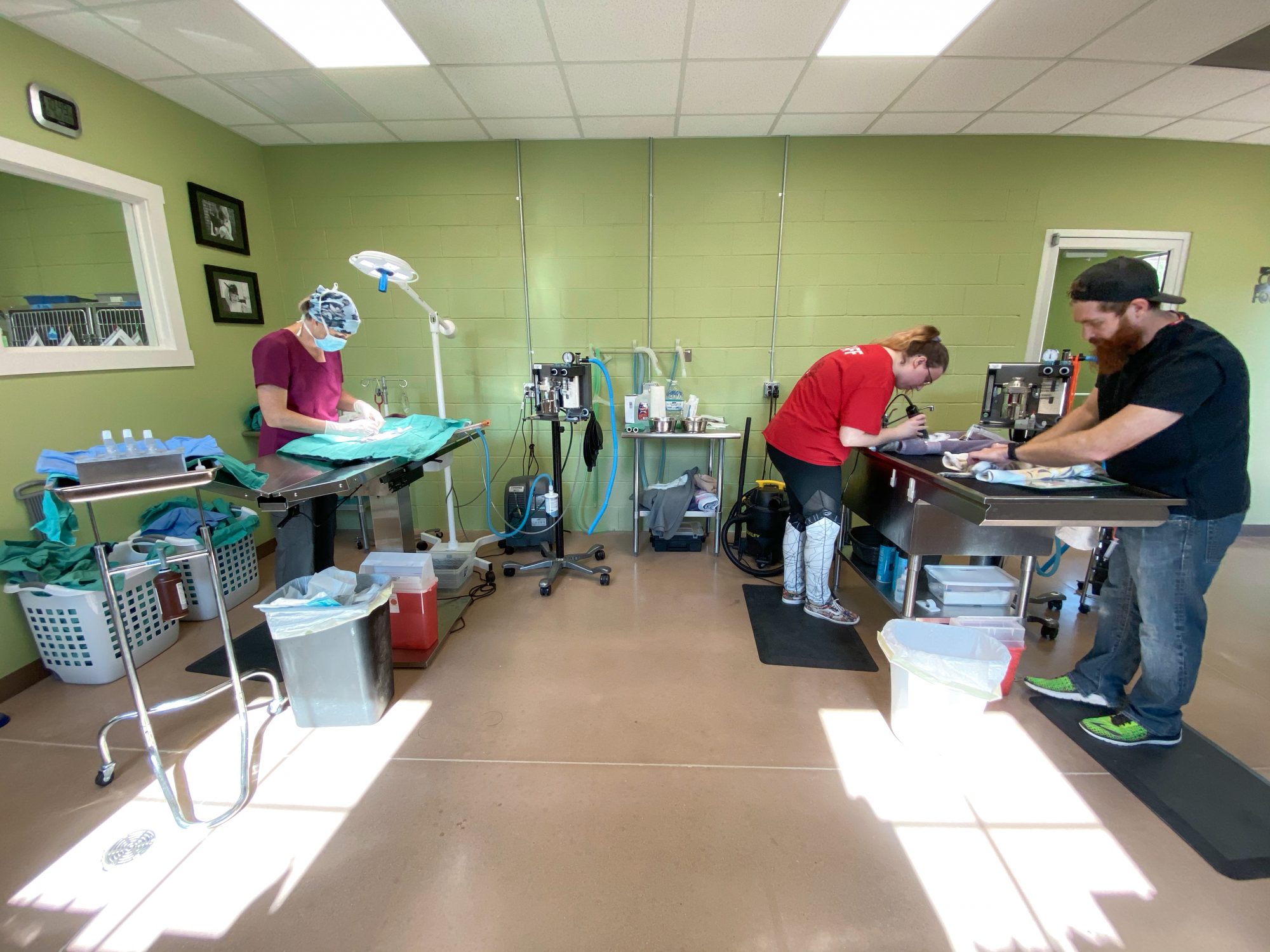 While the doctor works, Andrew, our lead vet tech, and his vet tech assistant prep the next animals for surgery.