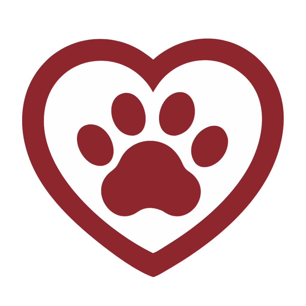 Animal shelter volunteer opportunities at PAWS Shelter of Central Texas