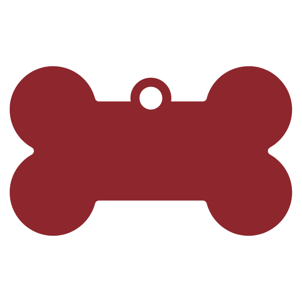 Foster animals near me at PAWS Shelter of Central Texas